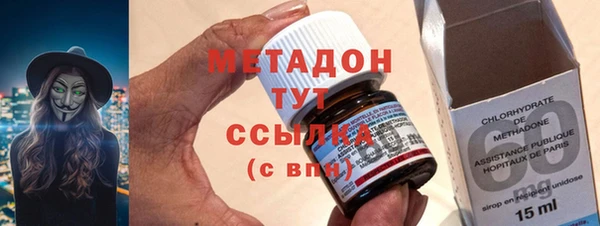 стаф Алзамай