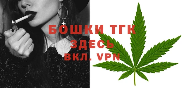 сатива Абаза