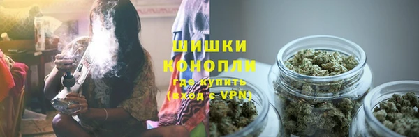гидра Алексин