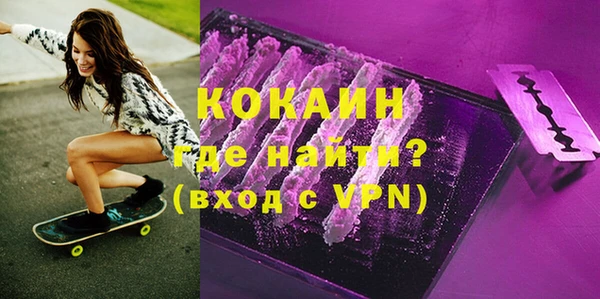 стаф Алзамай