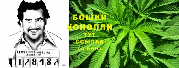 сатива Абаза