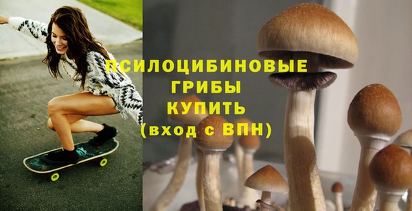 стаф Алзамай