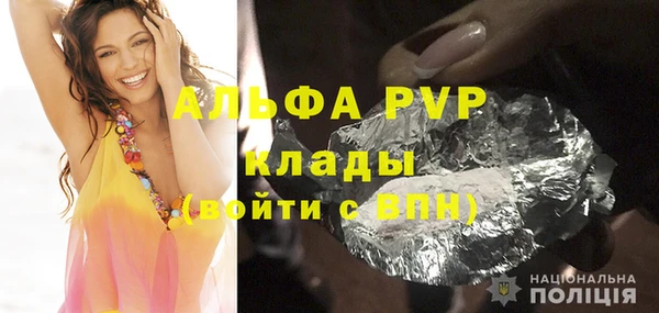 сатива Абаза