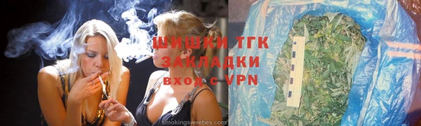 гидра Алексин
